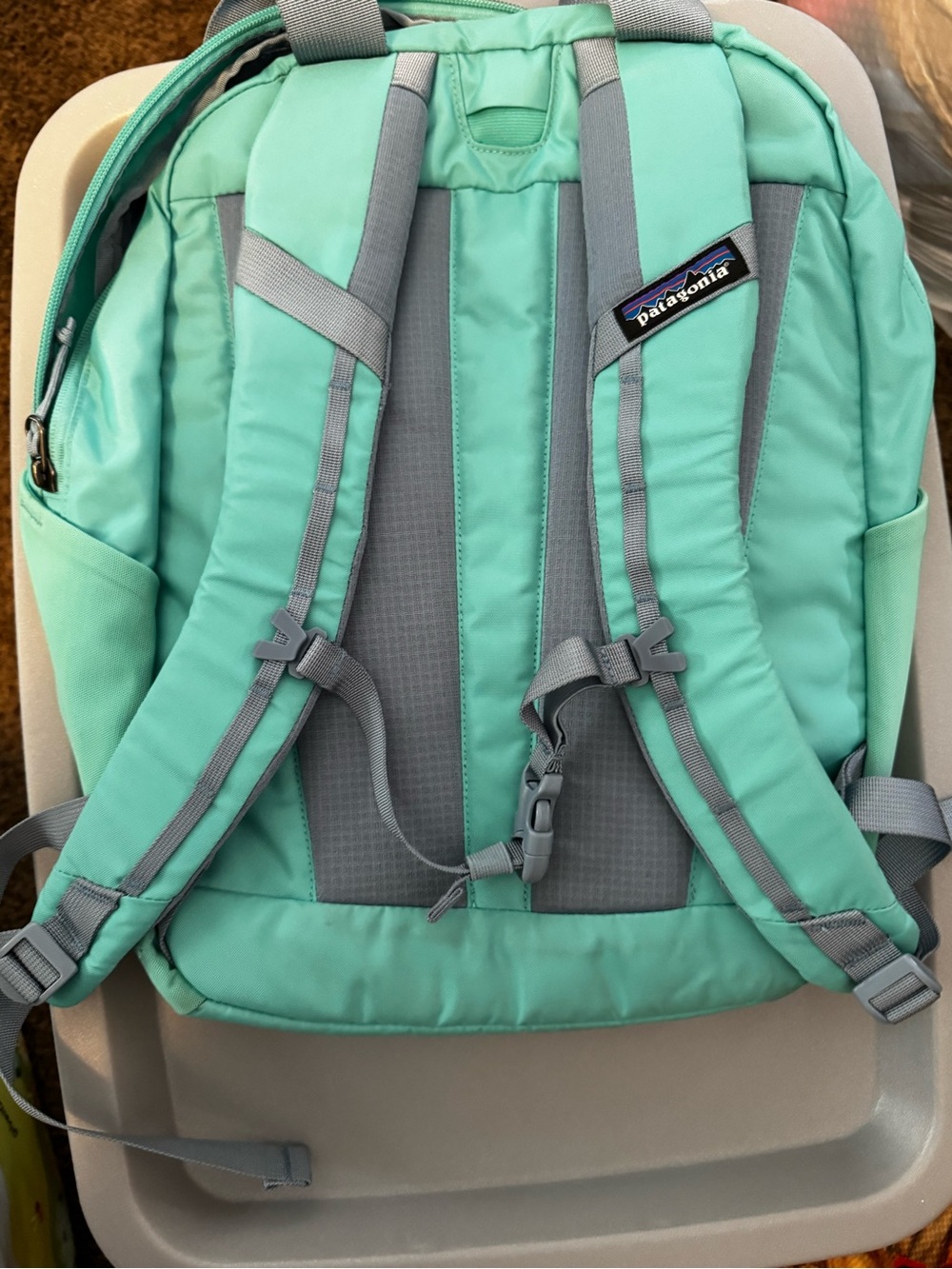 Patagonia Gray and Mint Green Everyday Backpack - Picture 2 of 8